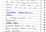 be your professional handwriting assignment work expert
